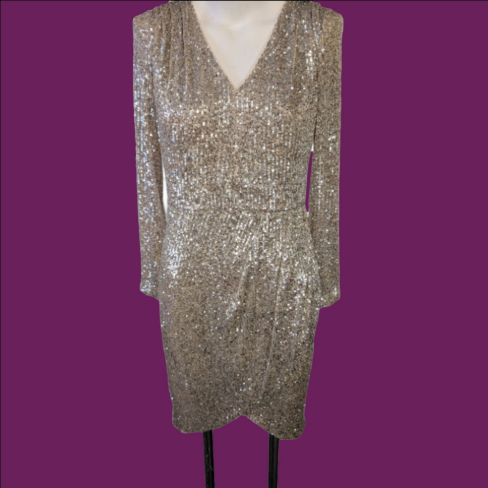 Dress Calvin Klein Shimmering Silver Long Sleeve Dress Size 8